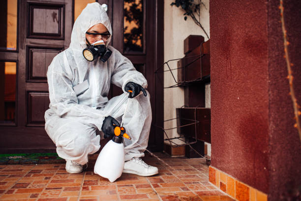 Reliable Ant Control contractor in Bayou Cane, LA by Show Me Pest Control
